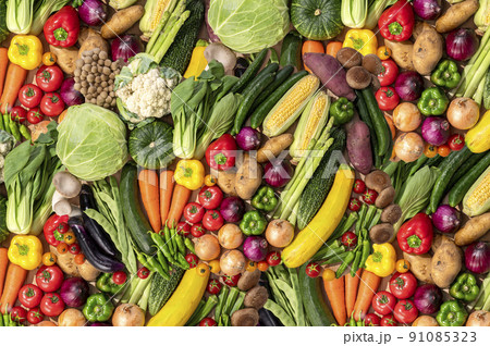色とりどりの野菜 野菜集合 色とりどりの野菜 野菜集合 91085323