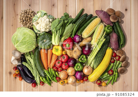 色とりどりの野菜　野菜集合 91085324
