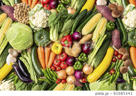 色とりどりの野菜　野菜集合 91085341