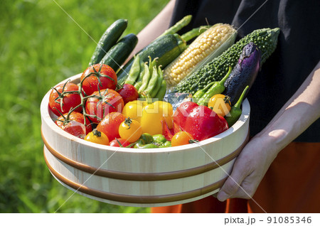 色とりどりの野菜 野菜集合 色とりどりの野菜 野菜集合 91085346