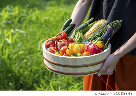 色とりどりの野菜 野菜集合 色とりどりの野菜 野菜集合 91085348