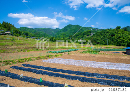 寺坂棚田 田植えの季節 新緑の風景 寺坂棚田 田植えの季節 新緑の風景 91087182