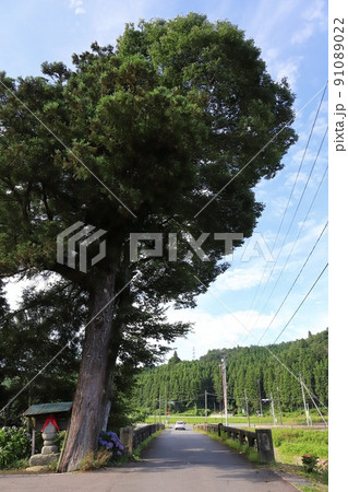 福島　いわき　昭和5年生まれの髙田橋 91089022