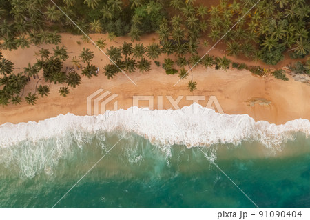 Beautiful sandy beach with palm trees and sea surf with waves. Silent Beach, Sri Lanka. 91090404