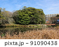 福岡市舞鶴公園の池 91090438