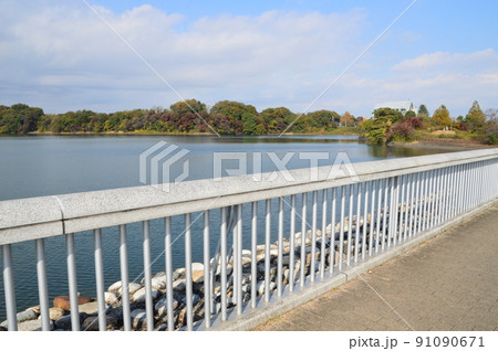 秋の多摩湖 東大和市 秋の多摩湖 東大和市 91090671