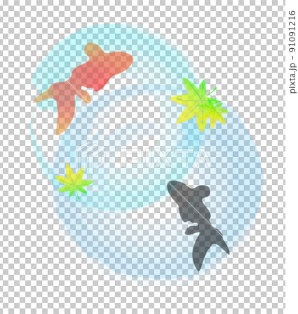 金魚，漣漪，背景材料 91091216