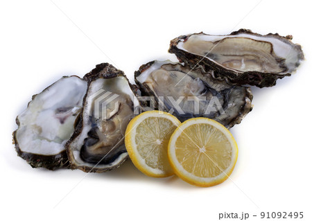 Oysters isolated on white Oysters isolated on white 91092495