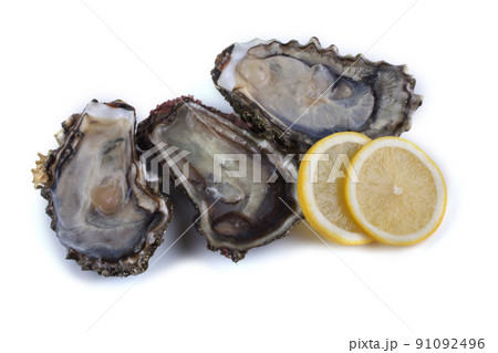 Oysters isolated on white Oysters isolated on white 91092496