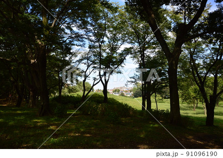 武蔵野公園　府中市 91096190