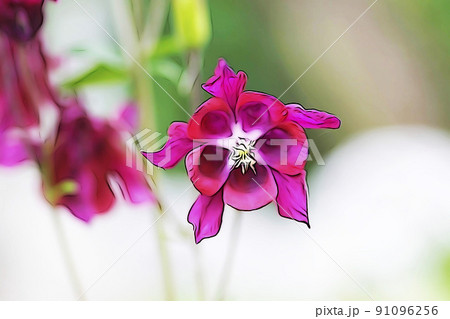 パステル調　”満開の花　オダマキ”　イラストイメージ 91096256