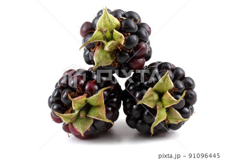 Organic blackberries 91096445