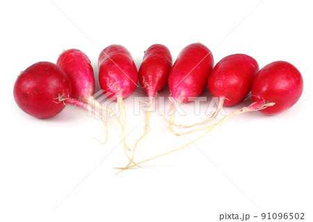 Fresh organic radish 91096502
