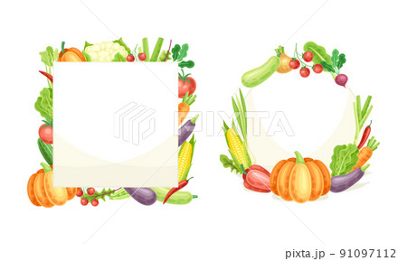 Frame of rectangular and square shape made of fresh vegetables set vector illustration 91097112