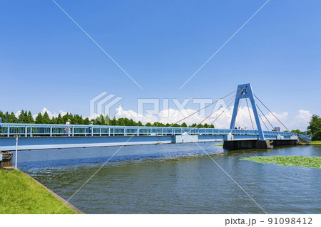 新緑の都立水元公園 新緑の都立水元公園 91098412