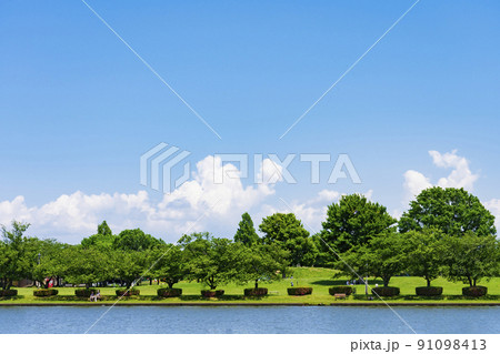 新緑の都立水元公園 91098413