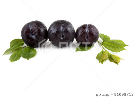 Black plums and leaves 91098715