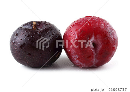 Plums 91098737