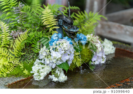 京都府・出雲神社　花手水 91099640