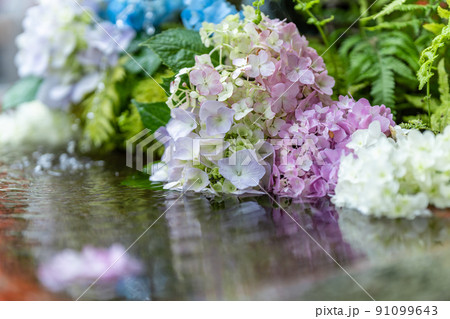 京都府・出雲神社　花手水 91099643