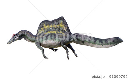 スピノサウルス Spinosaurus 91099792