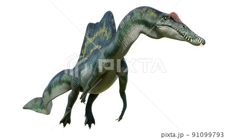 スピノサウルス Spinosaurus 91099793