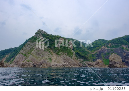 鎧の袖 鎧の袖 91100283