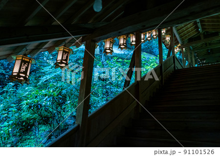 柳谷観音　楊谷寺 91101526