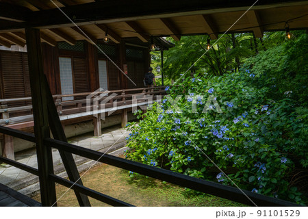 柳谷観音　楊谷寺 91101529