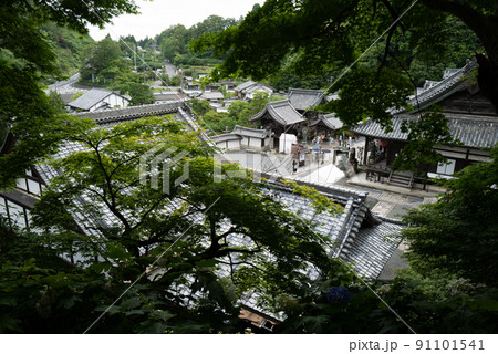 柳谷観音　楊谷寺 91101541