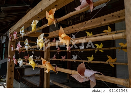 柳谷観音　楊谷寺 91101548