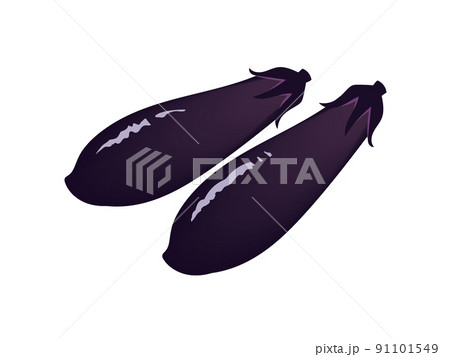 手描きのナス 91101549