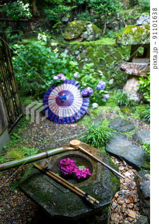 柳谷観音 楊谷寺 あじさい手水 柳谷観音 楊谷寺 あじさい手水 91101638