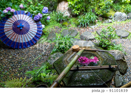 柳谷観音　楊谷寺　あじさい手水 91101639