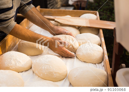 wheat dough shaped into loaves arranged in rows on the table before baking wheat dough shaped into loaves arranged in rows on the table before baking 91103068