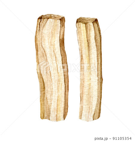 Palo santo sticks watercolor illustration. Hand drawn wooden aromatic stick element. Palo santo spiritual holy Bulnesia sarmientoi tree part for meditation, healing, relax Palo santo sticks watercolor illustration. Hand drawn wooden aromatic stick element. Palo santo spiritual holy Bulnesia sarmientoi tree part for meditation, healing, relax 91105354