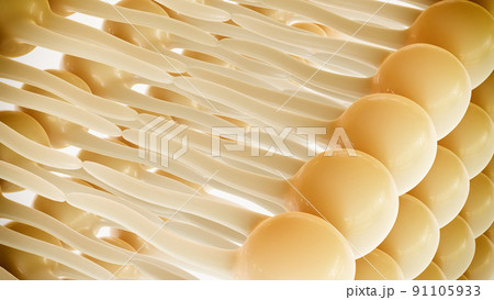 3D rendering lipid bi-layer cell anatomy - 3D Rendering 3D rendering lipid bi-layer cell anatomy - 3D Rendering 91105933