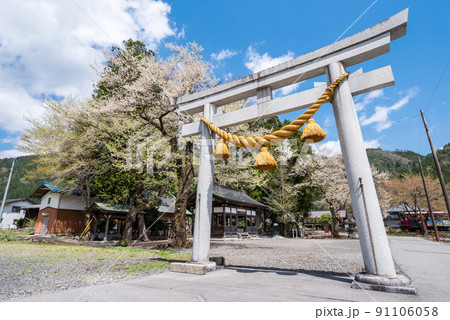 【長良川鉄道】神社横を通過する列車 【長良川鉄道】神社横を通過する列車 91106058