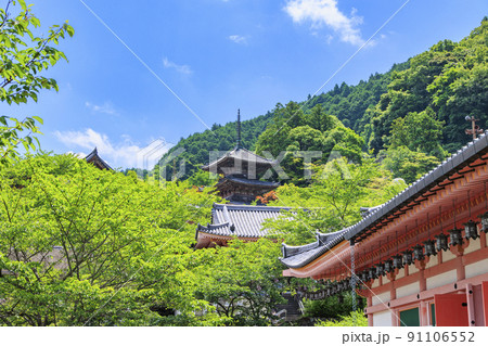 壺阪寺の新緑と満開の紫陽花 壺阪寺の新緑と満開の紫陽花 91106552