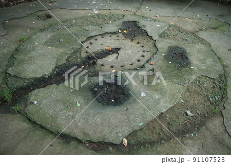 東京湾の猿島公園 91107523