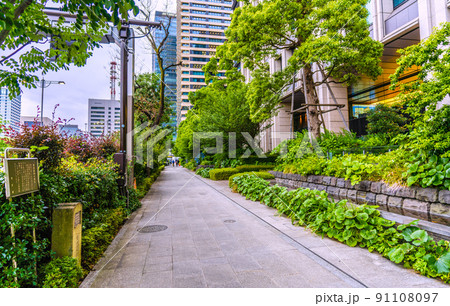 日本の東京都市景観　東京・大手町。「市内最初の並木」（ニセアカシア）。現在の街路樹はエンジュ 91108097