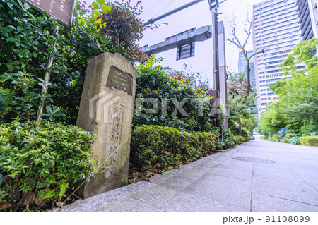 日本の東京都市景観　東京・大手町。「市内最初の並木」（ニセアカシア）。現在の街路樹はエンジュ 91108099