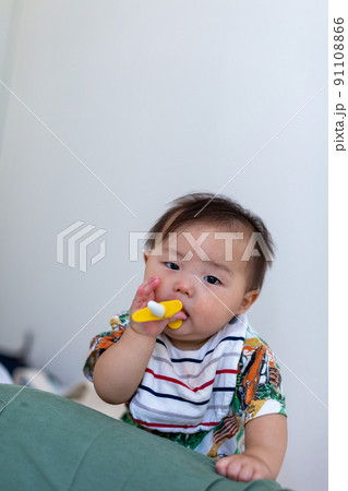 歯固めを嚙む7ヵ月の乳児　あかちゃん 91108866