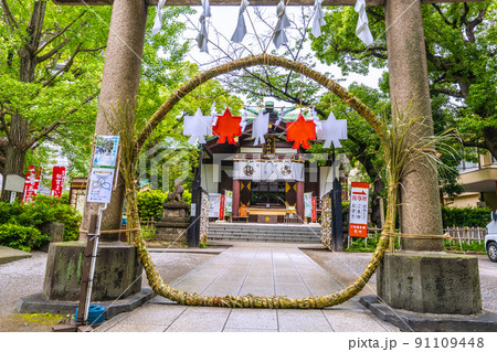 日本の川崎都市景観　緑に包まれた川崎の稲毛神社 91109448