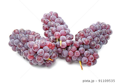 ぶどう(デラウエア) ぶどう(デラウエア) 91109535