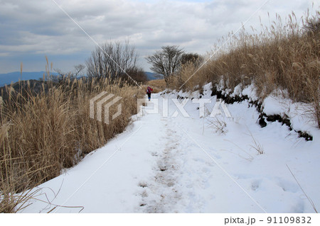 深山~るり渓ハイキングコース 1月は雪道 深山~るり渓ハイキングコース 1月は雪道 91109832