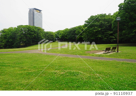 6月　多摩579クローバーの野原･多摩中央公園 91110937
