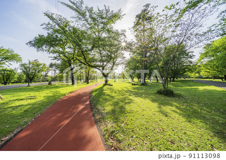 埼玉県営和光樹林公園 91113098