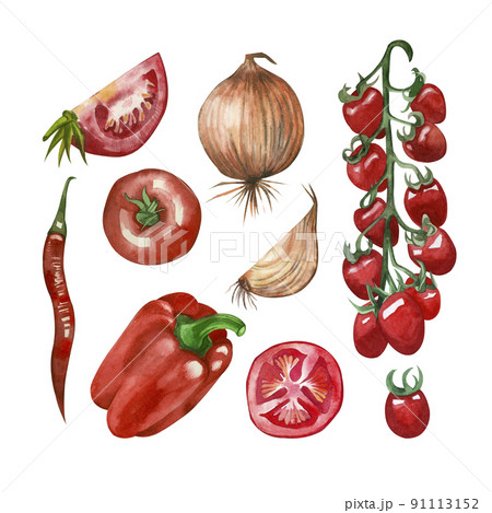 A set of colorful bright vegetables painted with watercolor: cherry tomatoes, hot chili, onions, tomatoes, sweet paprika on a white background. 91113152