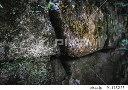 深い森の中の石垣 91113223